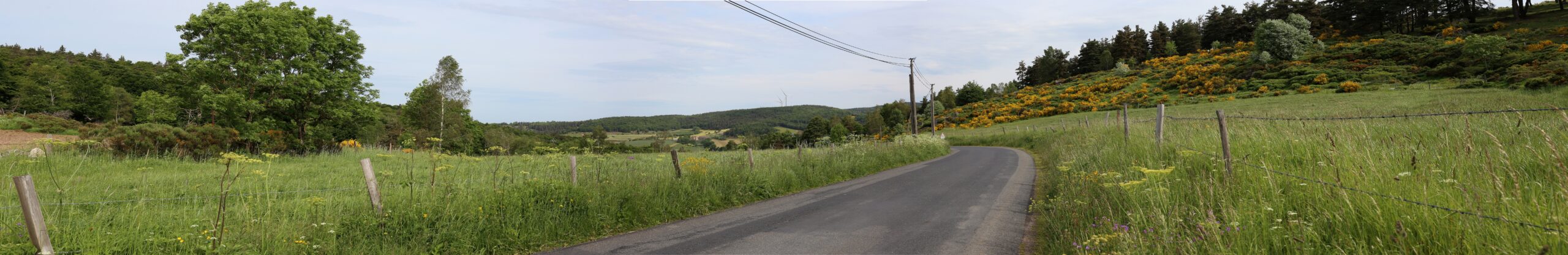 Simulation photoréaliste